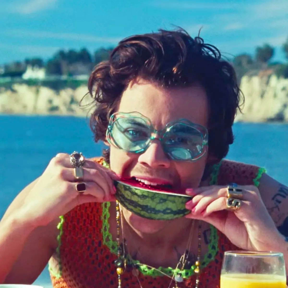 Harry Styles forklarer sin saftige sang (Columbia/Sony)