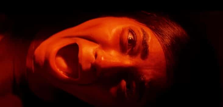 it lives inside trailer