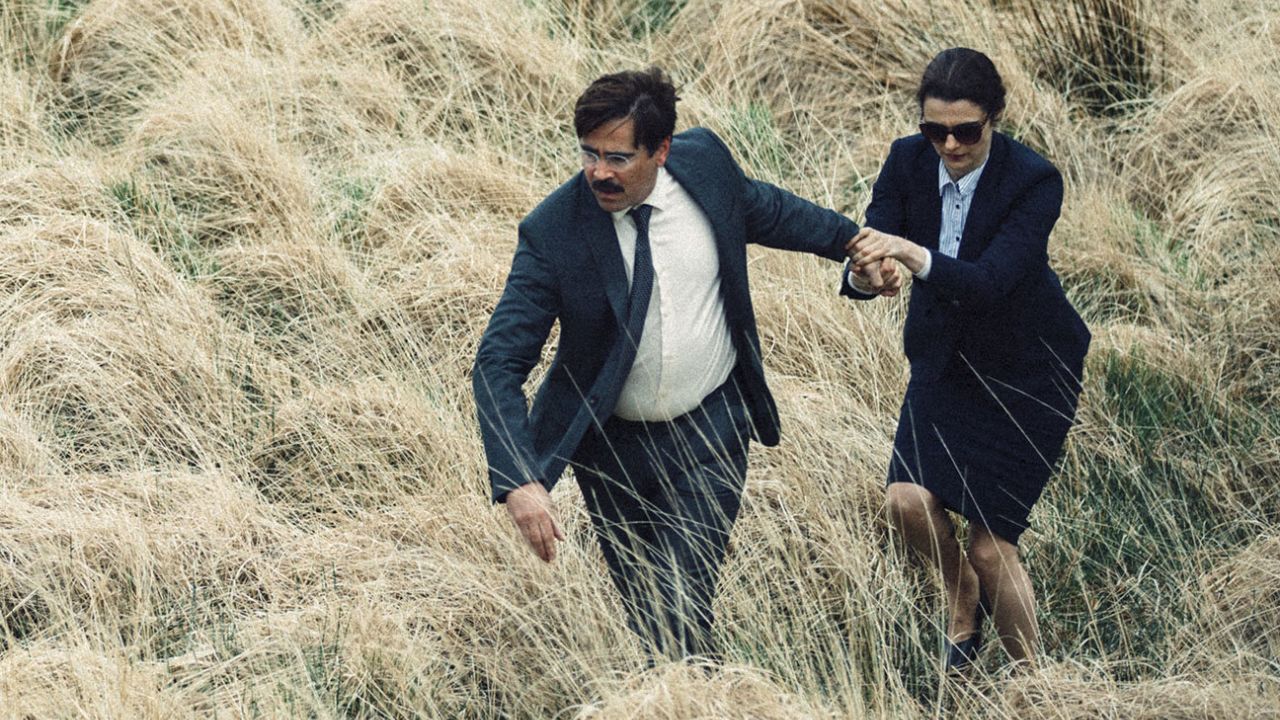 the lobster a24 rangert