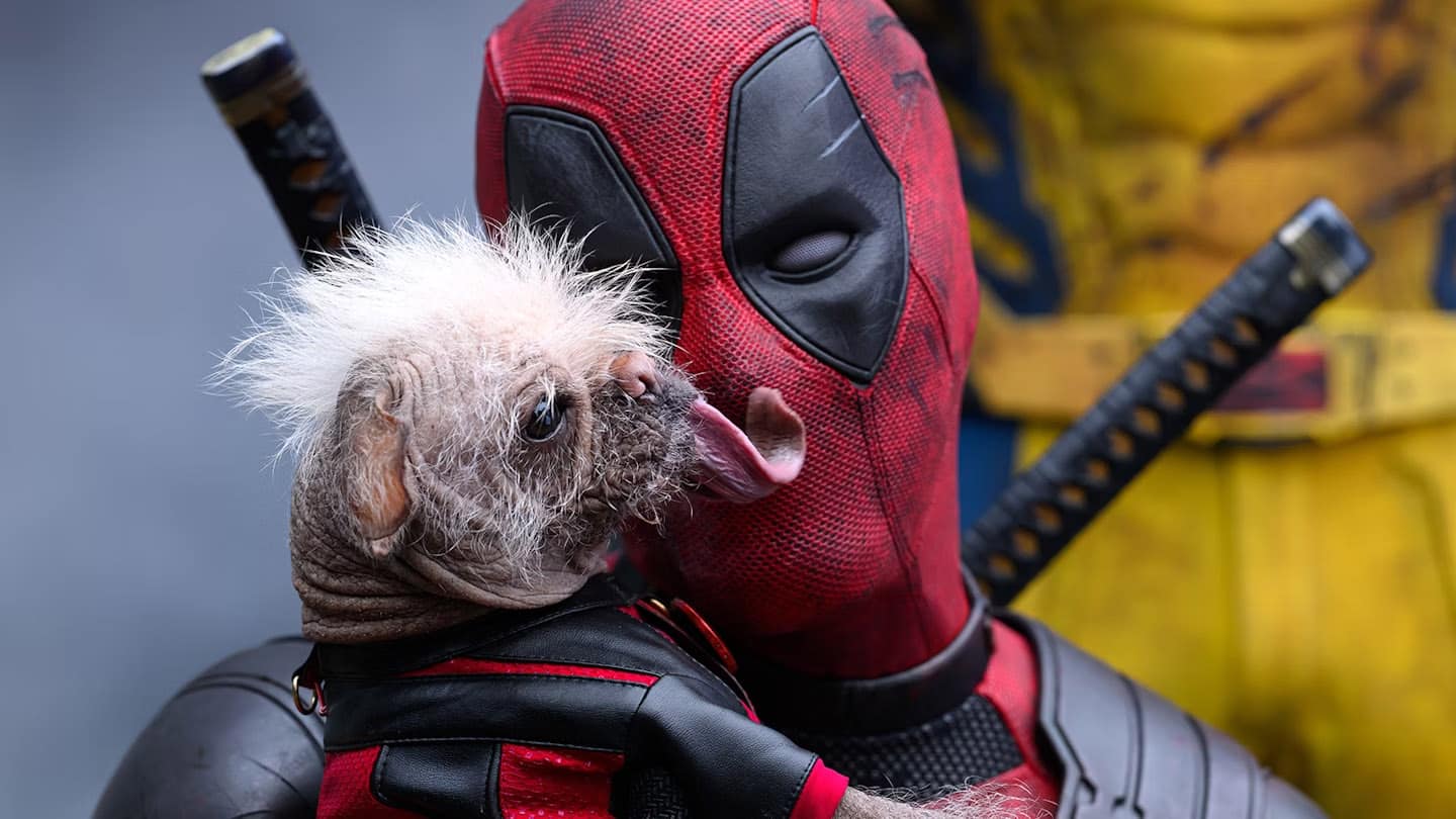 dogpool Deadpool Wolverine anmeldelse 730no