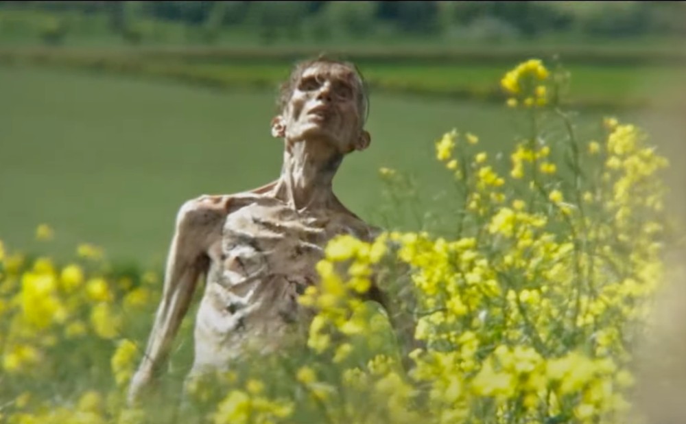 cillian murphy 28 years later