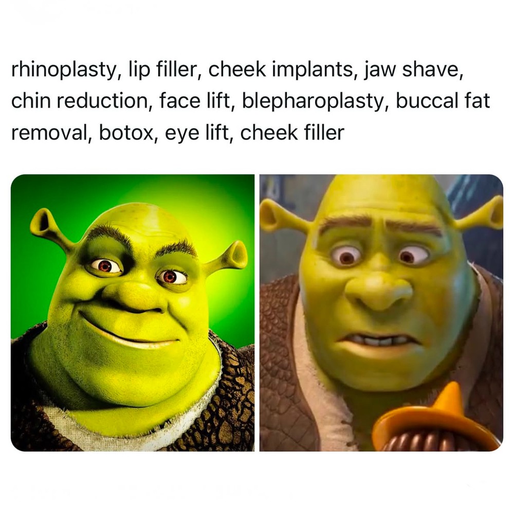 shrek 5