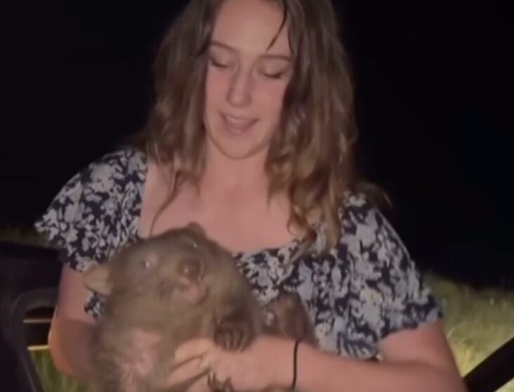 sam jones vombat australia tiktok