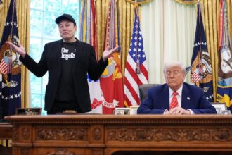 elon musk vs donald trump
