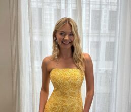 astrid s