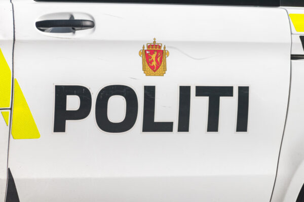 22-åring svindel 15 millioner kroner oslo tingrett norsk politi