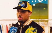 chris brown dog attack kaukasisk ovtcharka