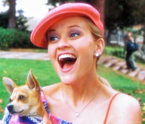 LEGALLY BLONDE - PÅ GRENSEN TIL ULOVLIG BLOND (MGM)
